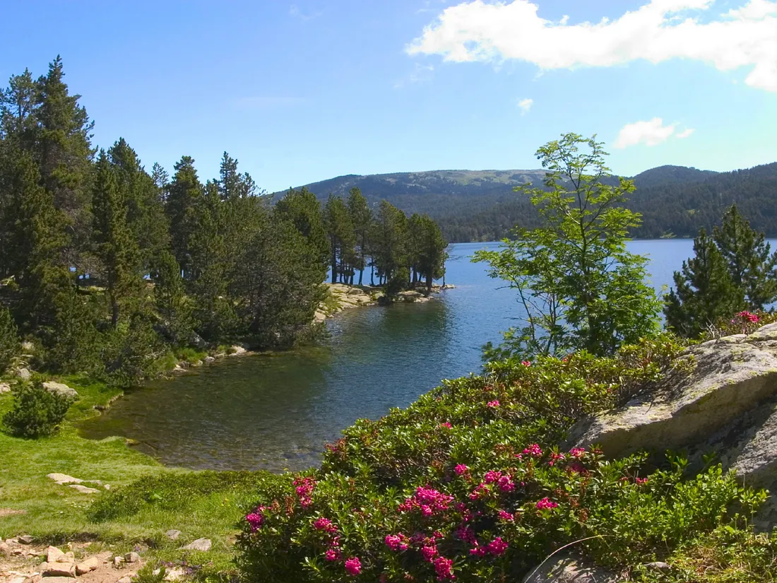 Font-Romeu-Pyrénées 2000 l'été